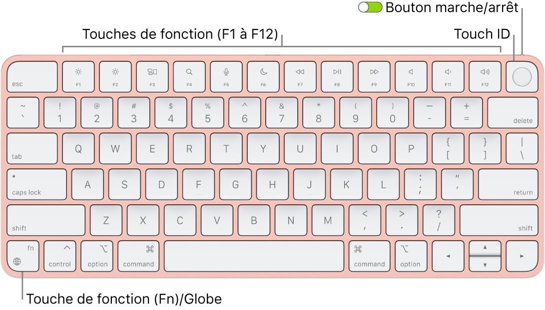 Le Magic Keyboard avec Touch ID affichant le rang des touches de fonction et le capteur Touch ID en haut, ainsi que la touche Fonction (Fn)/Globe dans le coin inférieur gauche.