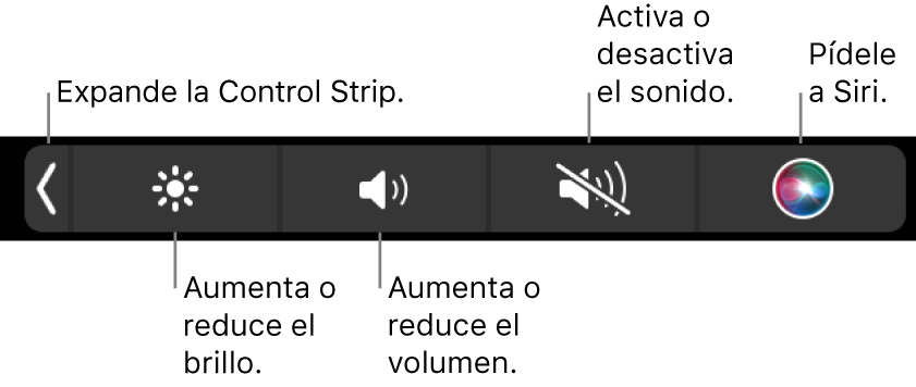 Los botones incluidos en la Control Strip contraída, de izquierda a derecha, para expandir la Control Strip, aumentar o reducir el brillo de la pantalla y el volumen, activar o desactivar el sonido, y usar Siri.