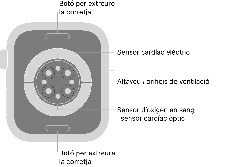 La part de darrere de l’Apple Watch Series 6 mostra els botons per obrir la corretja a dalt i a baix; els sensors elèctrics cardíacs, els sensors òptics cardíacs i els sensors d’oxigen en sang al mig, i l’altaveu i les sortides de ventilació a la part lateral del rellotge.