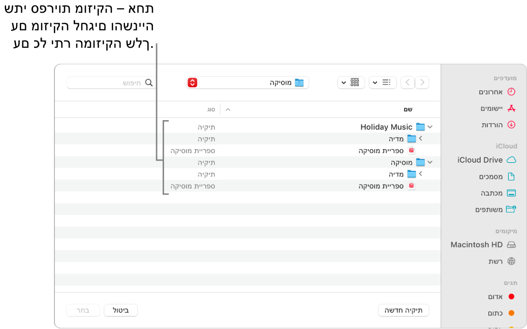 חלון Finder המציג מספר ספריות; אחת עבור מוזיקה לחגים והשנה עבור שאר המוזיקה שלך.