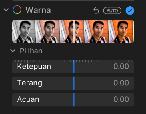 Kawasan Warna pada anak tetingkap Laras menunjukkan gelangsar untuk Ketepuan, Terang dan Kas.