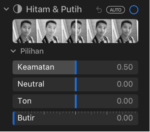 Kawasan Hitam & Putih pada anak tetingkap Laras menunjukkan gelangsar untuk Keamatan, Neutral, Ton dan Bintik.
