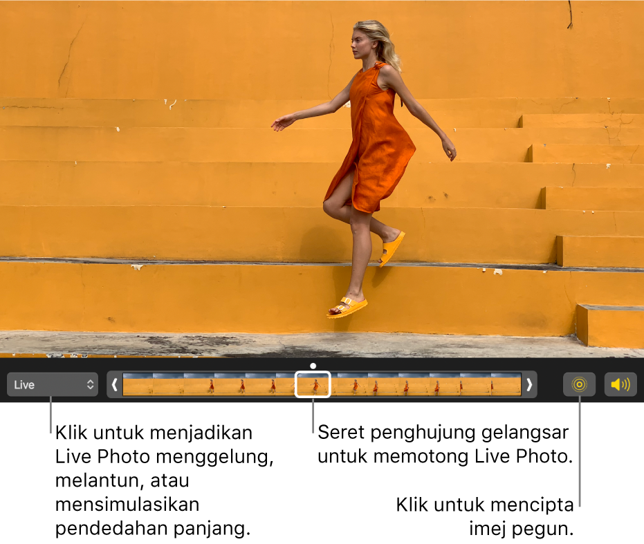 Live Photo dalam paparan pengeditan dengan gelangsar di bawahnya menunjukkan bingkai gambar. Butang Live Photo dan Speaker berada di sebelah kiri gelangsar dan di sebelah kanan pula ialah menu timbul yang anda boleh gunakan untuk menambah kesan gelung, lantun, atau pendedahan.