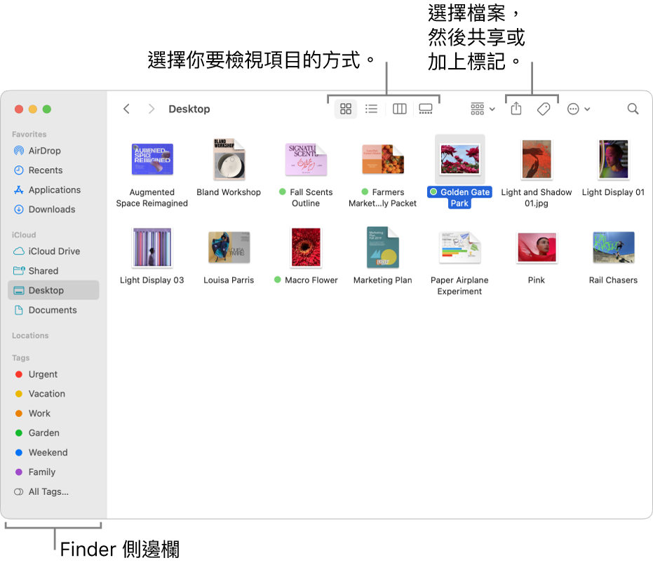 Finder 視窗,左側顯示 Finder 側邊欄。在視窗的最上方有四個可更改項目在視窗中顯示方式的按鈕,以及其他用於整理和分享項目的按鈕。