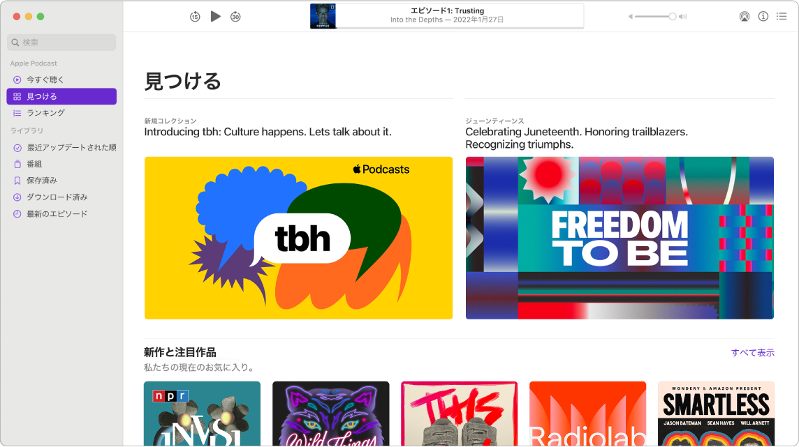 ポッドキャストウインドウ。左側の列の上部に検索フィールドがあり、下に表示オプションがあります。「ブラウズ」が選択され、右側にポッドキャストが表示されています。