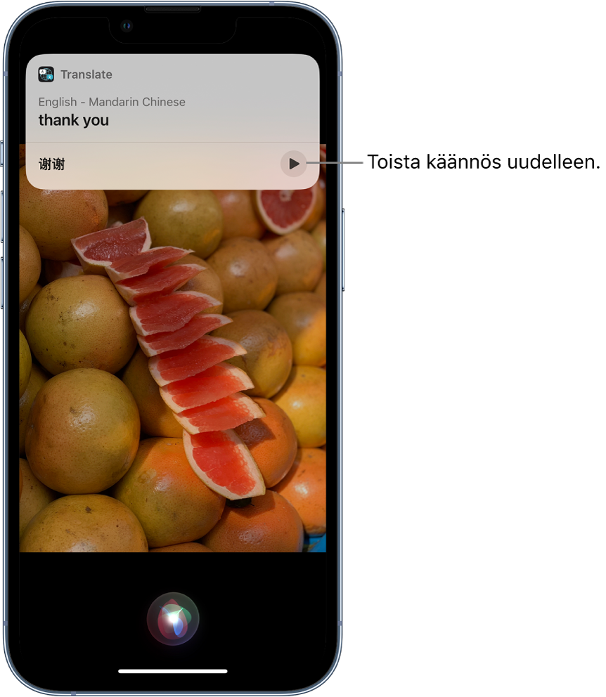 Siri näyttää englanninkielisen Thank you -sanonnan mandariinikiinaksi. Käännöksen alapuolella olevalla painikkeella käännös toistetaan uudestaan puhuttuna.