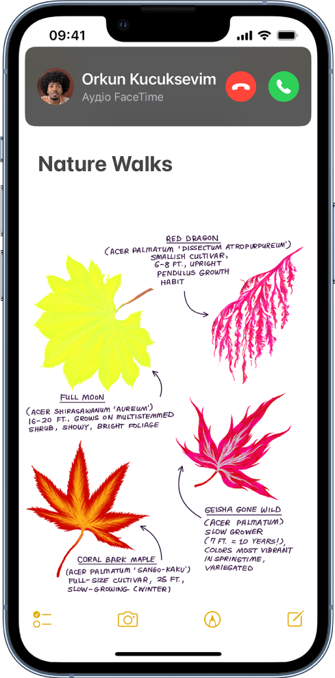 Екран із банером-сповіщенням про вхідний виклик угорі. Угорі справа є кнопки «Відхилити» та «Прийняти». Унизу — вебсайт у Safari.