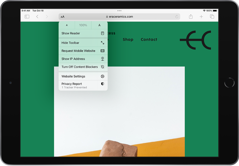 Tīmekļa lapas ar atvērtu izvēlni Page Settings. Nolaižamajā izvēlnē (no augšas uz leju) ir opcijas Text Size, Show Reader, Hide Toolbar, Request Mobile Website, Show IP Address, Turn Off Content Blockers, Website Settings un Privacy Report.