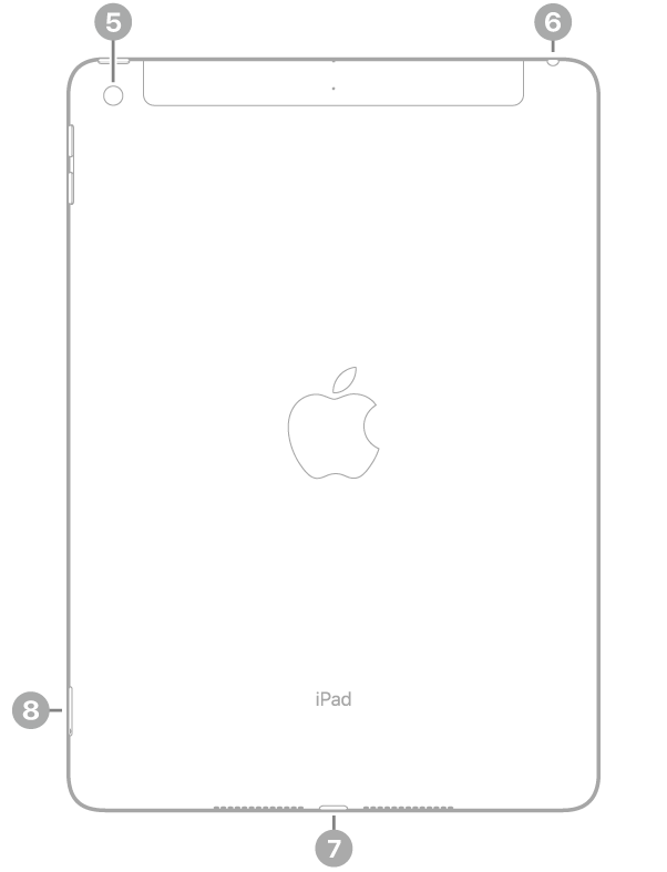 Vista traseira do iPad com chamadas para a câmera traseira acima à esquerda, o conector para fone de ouvido acima à direita, o conector Lightning no centro abaixo e a bandeja do SIM (Wi-Fi + Cellular) abaixo à esquerda.