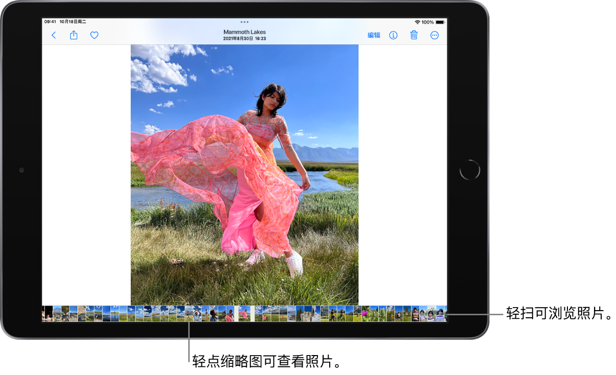 一张全屏显示的照片,屏幕底部一行显示图库中其他照片的缩略图。左上方是“返回”按钮,右上方依次是“共享”、“收藏”、“信息”、“删除”和“编辑”按钮。