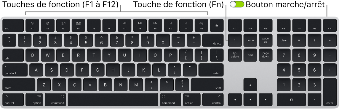 Magic Keyboard présentant la touche de fonction (Fn) dans le coin inférieur gauche et le bouton marche/arrêt dans le coin supérieur droit du clavier.