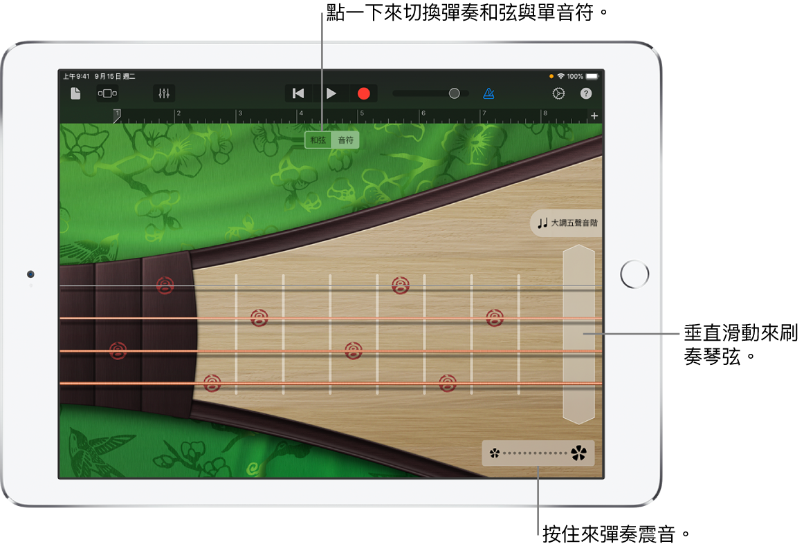 圖表。琵琶,音符顯示方式。