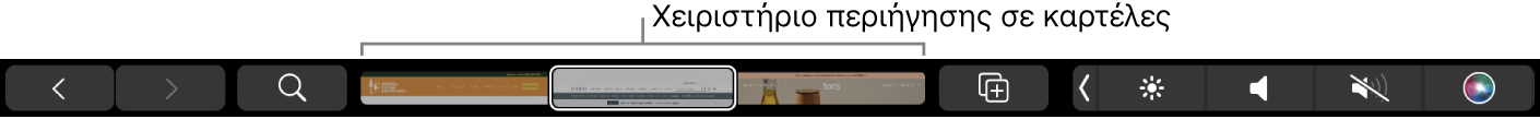 Το Touch Bar για το Safari με τα βέλη πίσω και εμπρός, το κουμπί αναζήτησης, τη γραμμή καρτελών και το κουμπί προσθήκης σελιδοδεικτών.