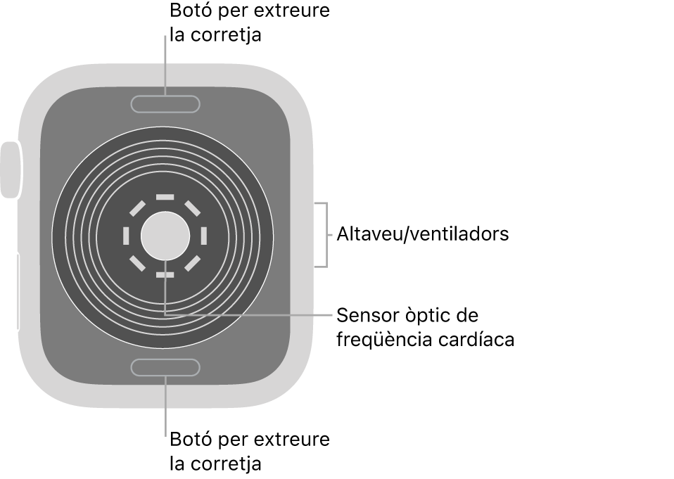 La part de darrere de l’Apple Watch SE mostra els botons per obrir la corretja a dalt i a baix; els sensors òptics cardíacs al mig, i l’altaveu i les sortides de ventilació a la part lateral del rellotge.