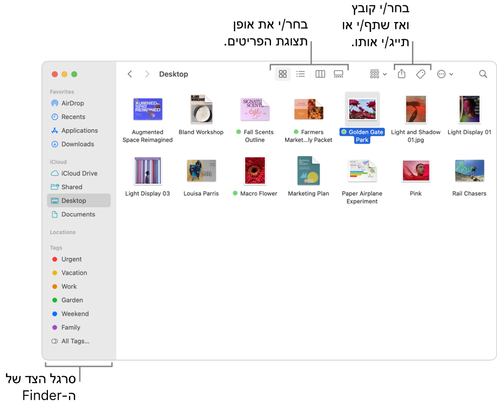 חלון Finder עם סרגל הצד של ה‑Finder מימין. בחלק העליון של החלון ישנם ארבעה כפתורים שמשנים את המראה של פריטים בחלון, וכפתורים נוספים לסידור ושיתוף של פריטים.