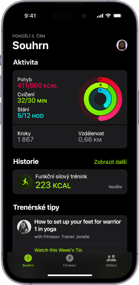 Souhrnná obrazovka v aplikaci Kondice s oddíly Aktivita, Historie a Trenérské tipy
