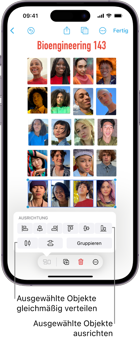 Ein Freeform-Board mit einem Fotoraster. Mehrere Fotos sind ausgewählt und die Ausrichtungs- und Gruppierungswerkzeuge werden über ihnen angezeigt.