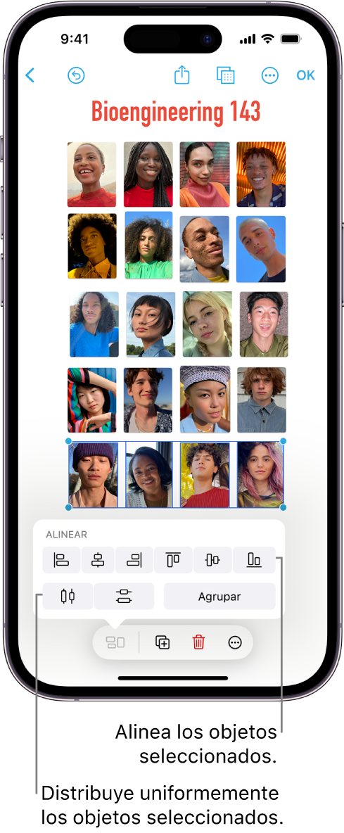 Pizarra de Freeform llena de una cuadrícula de fotos. Se seleccionan varias fotos y las herramientas de alineación y agrupación aparecen encima de ellas.