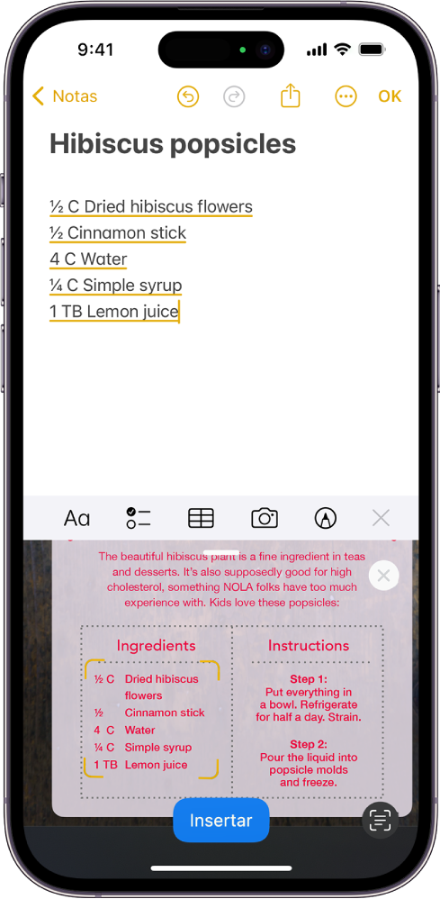 Pantalla con un texto que se está escaneando. El botón Insertar se encuentra en la parte inferior central.