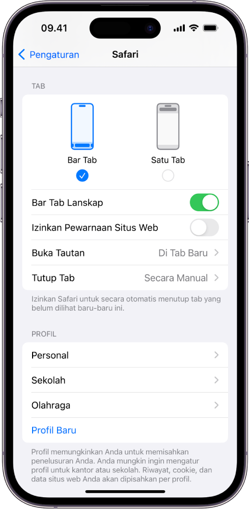 Layar menampilkan dua pilihan tata letak Safari: Bar Tab dan Satu Tab.