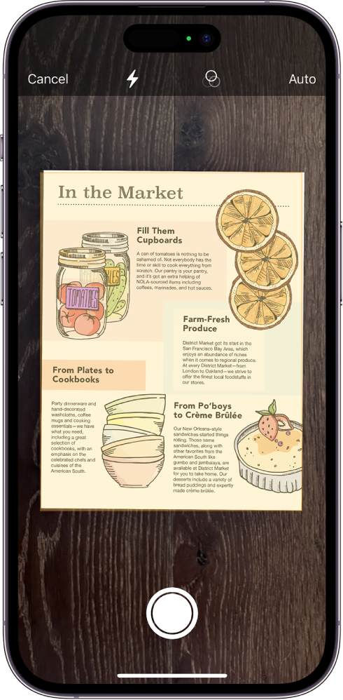 Ekranas, kuriame rodomas nuskaitomas dokumentas. Mygtukas „Take Picture“ yra apačioje per vidurį.