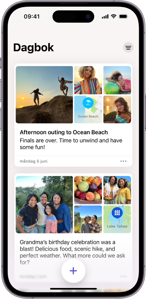 En skärm visar dagboksinlägg med knappen Filtrera överst till höger.
