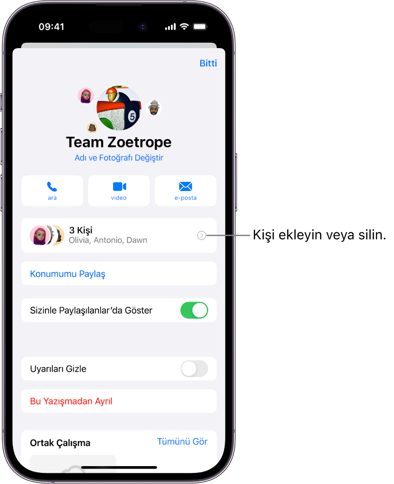 Grubun yazışma ayrıntıları.