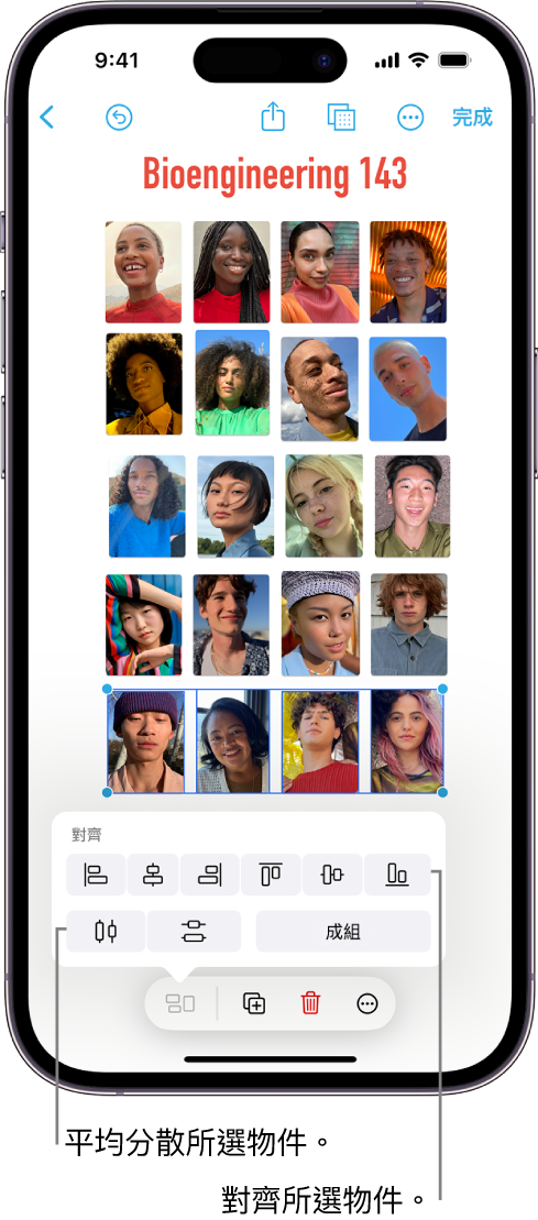 相片網格填滿 Freeform 記事板。已選取幾張相片,其上方顯示對齊和組合工具。