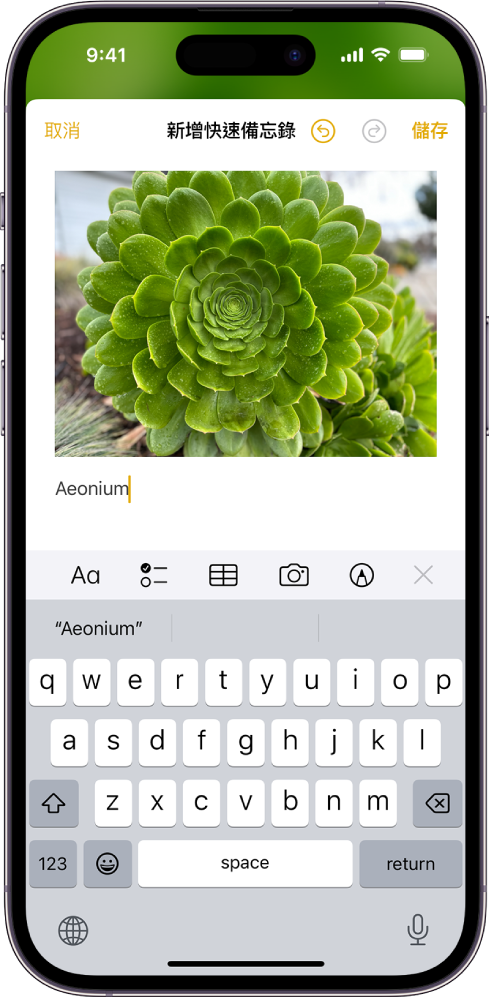 「快速備忘錄」顯示星球相片,其下方有文字。