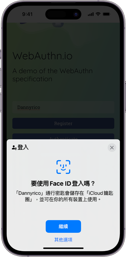 iPhone 螢幕的下半部份提供使用通行密匙登入網站的選項。其中包括用於儲存通行密匙的「繼續」按鈕,以及「其他選項」按鈕。