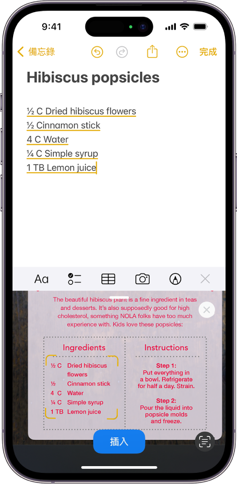畫面顯示文件已掃描。插入按鈕位於中央底部。