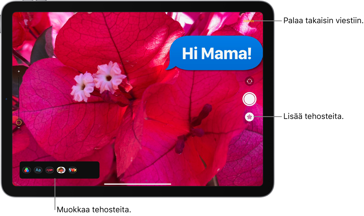 Kuvien muokkaus Viesteissä. Eri tehosteiden käytön valinnat tulevat näkyviin kuvan oikeaan alakulmaan.