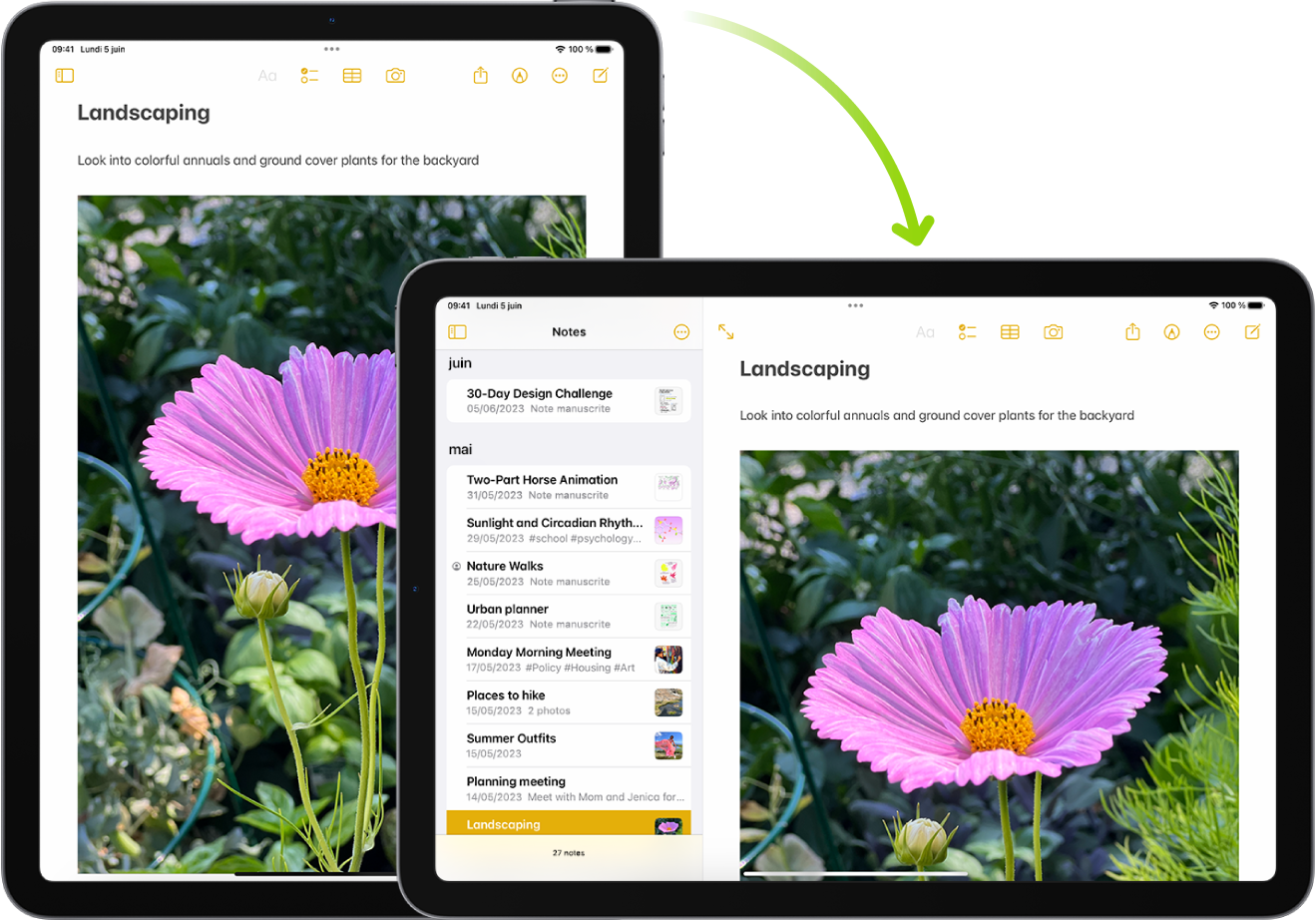 En arrière-plan, l’iPad présente un écran Notes en mode portrait ; au premier plan, l’iPad est tourné et affiche l’écran Notes en mode paysage.