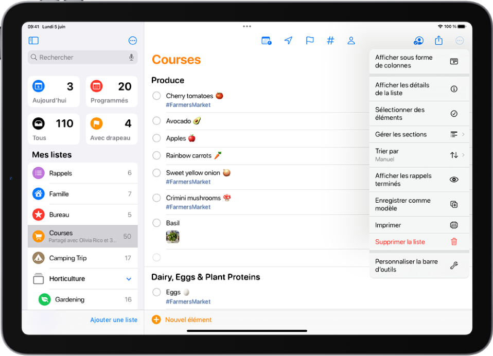 Une liste pour un séjour en camping dans Rappels. Des tags, lieux, drapeaux et photos sont joints à certains éléments. Le bouton « Nouveau rappel » se trouve en bas à gauche.