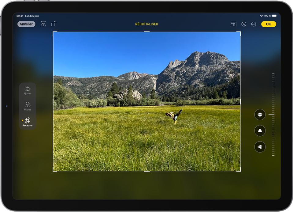 L’écran Modifier dans l’app Photos avec une photo au centre. Sur le côté gauche de l’écran se trouvent les boutons Ajuster, Filtres et Recadrer ; le bouton Recadrer est sélectionné. Sur le côté droit de l’écran se trouvent les options d’amélioration du recadrage et un curseur permettant d’ajuster le niveau de l’effet.