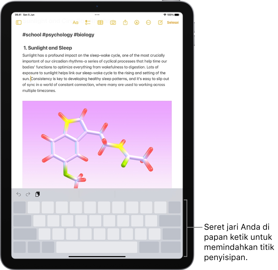 Dokumen terbuka di app Catatan. Papan ketik pada layar di bagian bawah layar dalam mode trackpad.