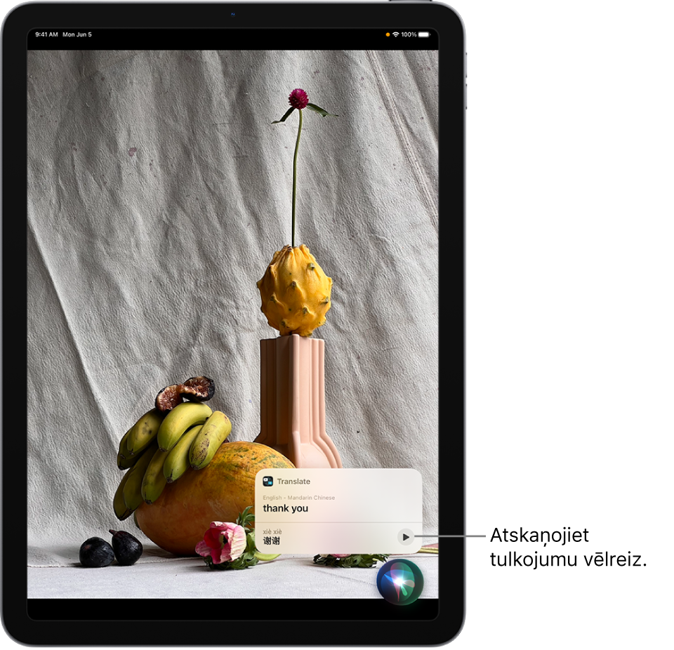 Siri parāda frāzes “thank you” tulkojumu no angļu valodas uz mandarīnu ķīniešu valodu. Poga pa labi no tulkojuma ļauj atskaņot tulkojumu audio formātā.