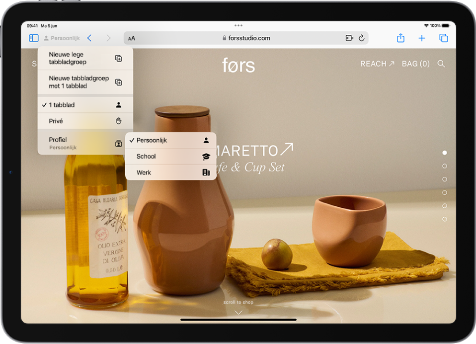 In Safari is het menu 'Tabbladgroepen' links van het zoekveld geopend. Onder in het menu is 'Profiel' geselecteerd en er is een menu geopend met de opties 'Persoonlijk', 'School' en 'Werk'.