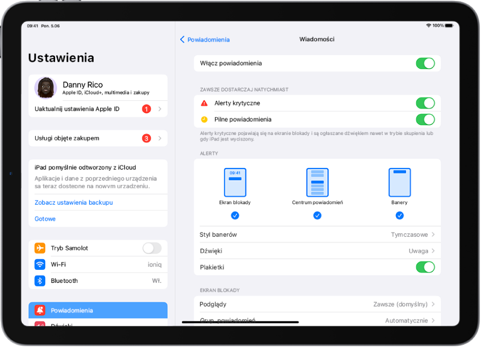 iPad z ustawieniami Wiadomości dotyczącymi powiadomień i alertów.