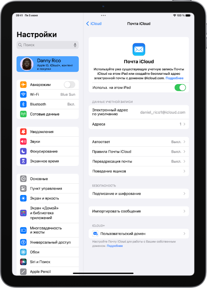 Приложение «Настройки». Открыт экран «Почта iCloud». В нижней части меню отображается параметр «Пользовательский домен».