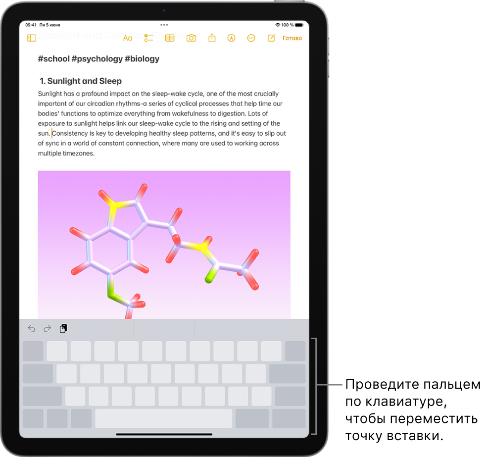 В приложении «Заметки» открыт документ. Экранная клавиатура в нижней части экрана используется в режиме трекпада.
