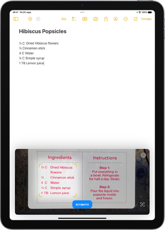 Екран, на якому відображається сканований текст. Кнопка «Вставити» розташована внизу по центру.