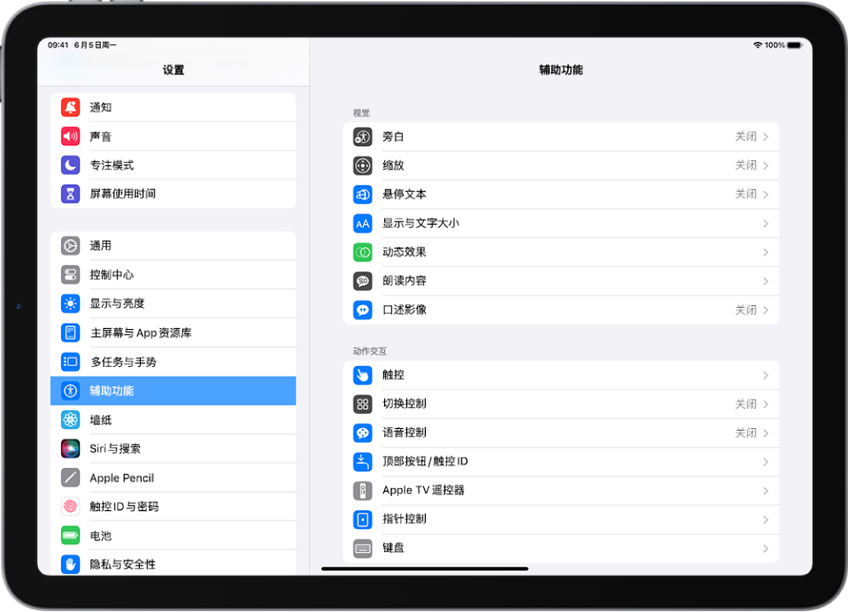 iPad 的“设置”屏幕。屏幕左侧是“设置”边栏;“辅助功能”已选中。屏幕右侧是自定义“辅助功能”的选项。