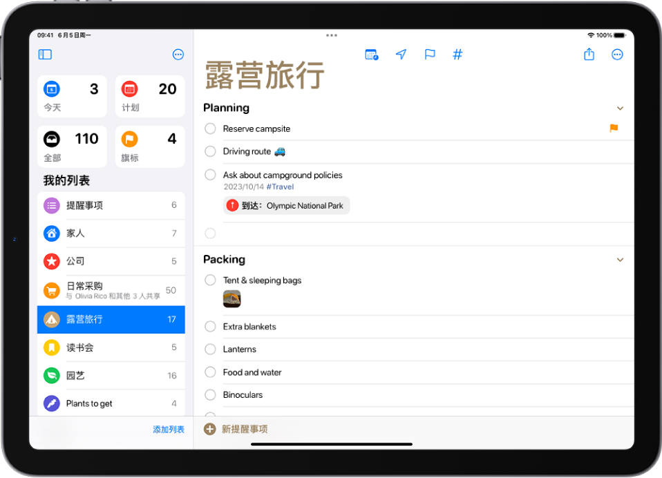 “提醒事项”屏幕左侧显示提醒事项列表,右侧显示待办事项列表。“新提醒事项”按钮位于底部中间。