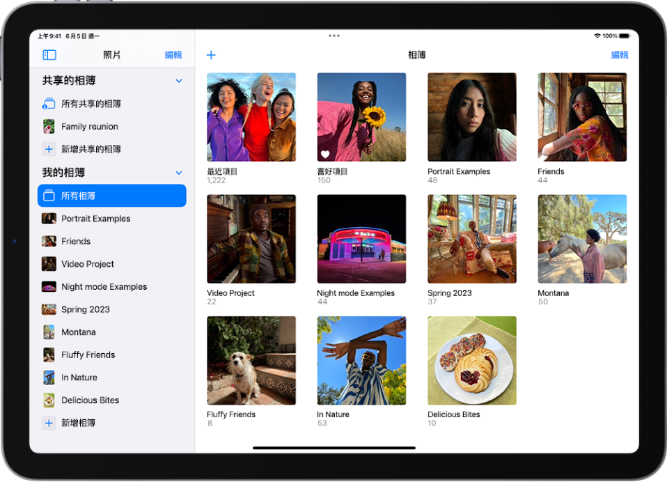 「照片」側邊欄於螢幕左側打開。在「我的相簿」標題下方,已選取名為「所有項目」。iPad 畫面的其餘部分以格狀顯示相簿的縮覽圖。