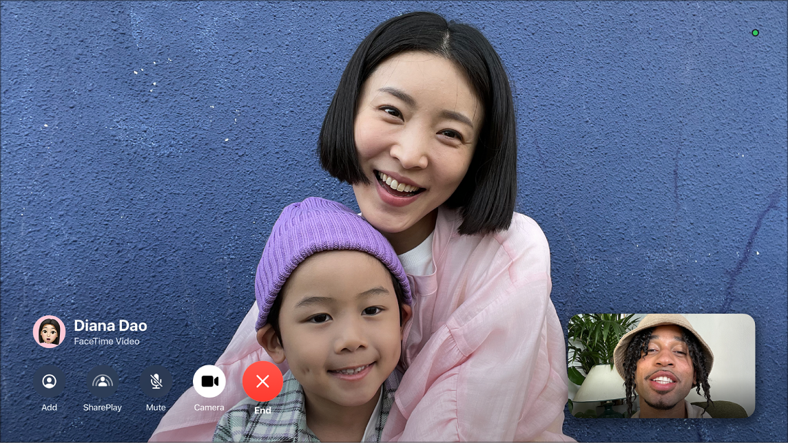 The FaceTime app on an Apple TV screen