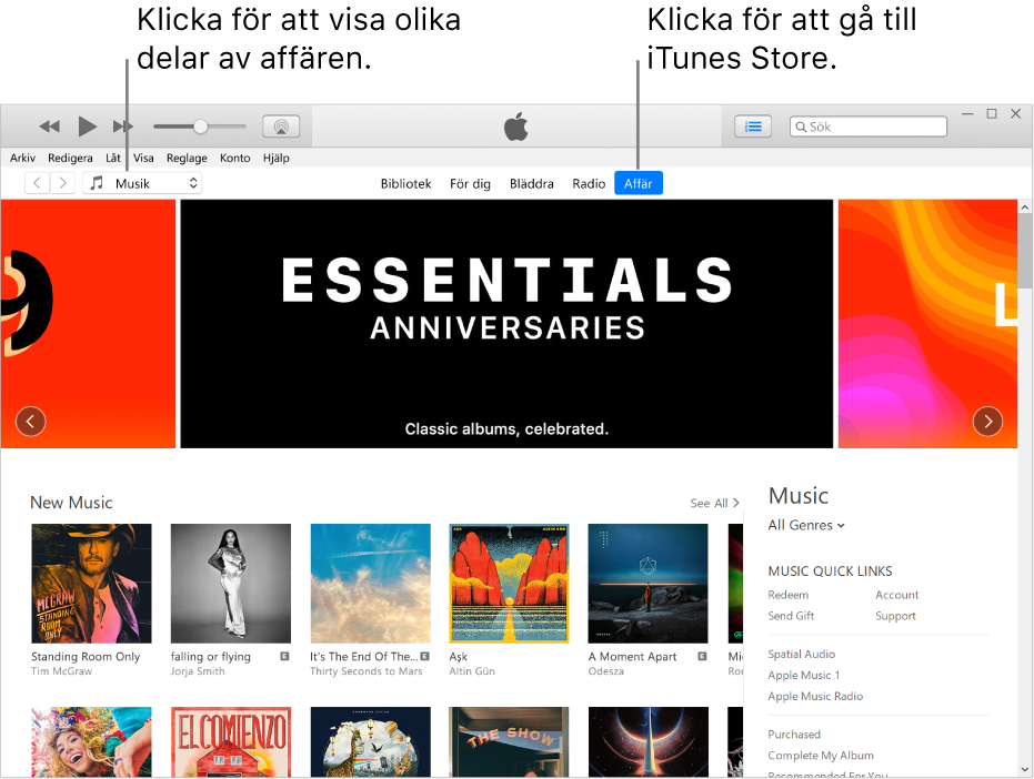 Huvudfönstret i iTunes Store: Affär är markerat i navigeringsfältet. I det över vänstra hörnet kan du välja att visa olika innehåll i affären (som Musik eller TV).