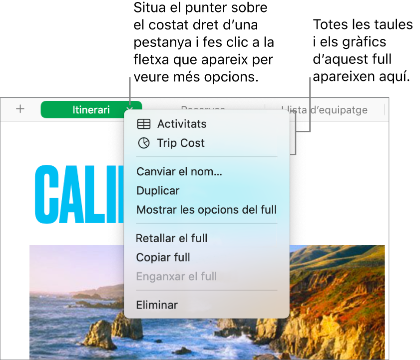 Una pestanya d’un full de càlcul amb el menú de dreceres obert, que mostra opcions com ara “Duplica”.