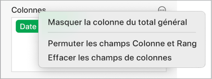 Le menu « Options du champ » affichant les commandes permettant de masquer les totaux généraux, de permuter les champs Colonne et Rang, et d’effacer des champs.