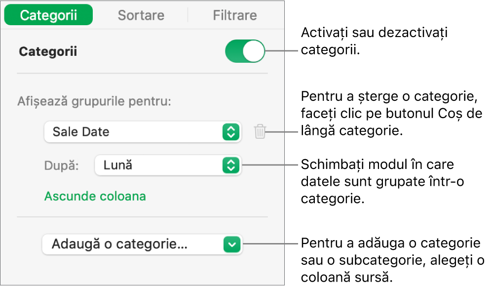 Bara laterală categorii cu opțiuni pentru a dezactiva categoriile, șterge categoriile, regrupa datele, ascunde o coloană sursă și a adăuga categorii.